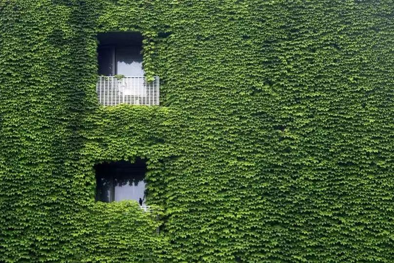 世界杯投注平台