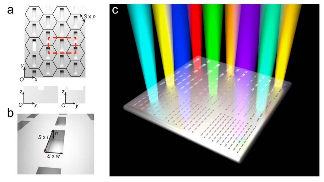 陆延青 世界杯投注平台