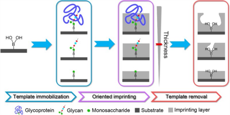 世界杯投注平台