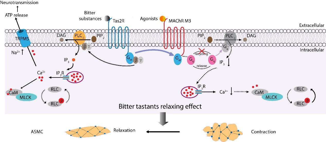 世界杯投注平台