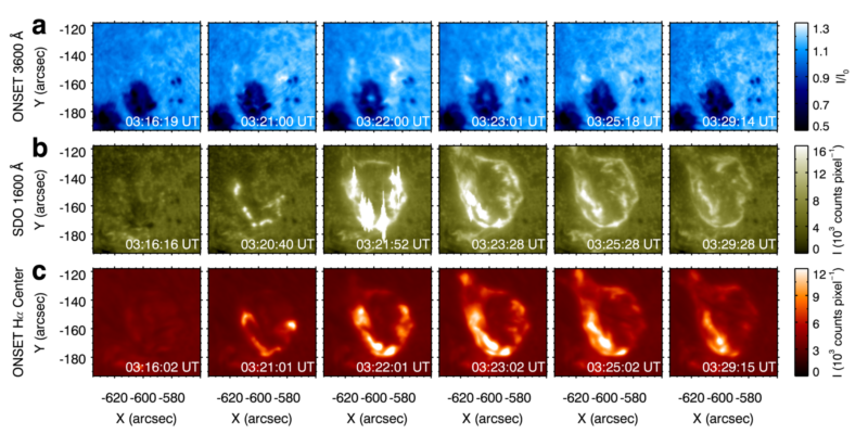 世界杯投注平台