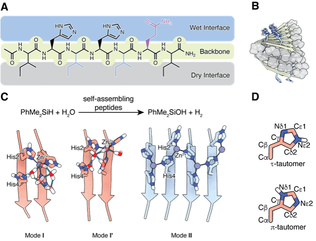 世界杯投注平台