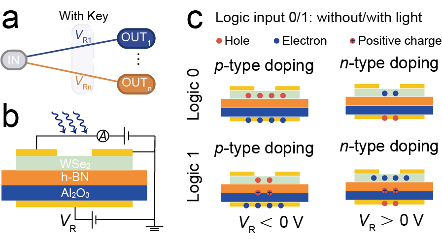 世界杯投注平台