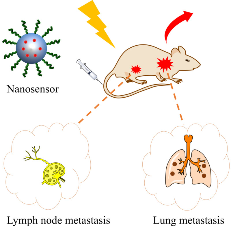 世界杯投注平台