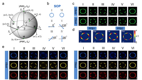 世界杯投注平台