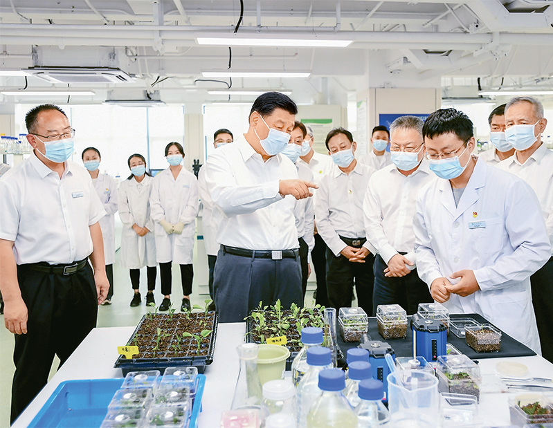 世界杯投注平台