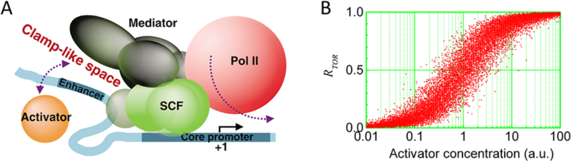 世界杯投注平台