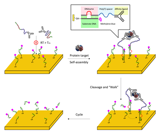 世界杯投注平台