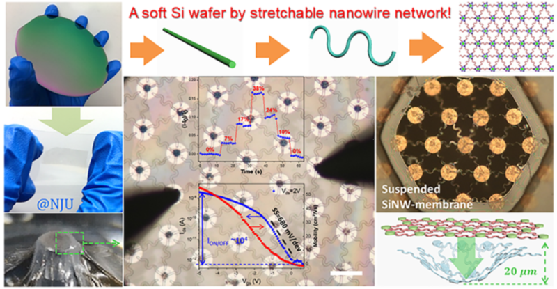 世界杯投注平台