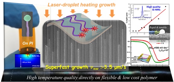 世界杯投注平台