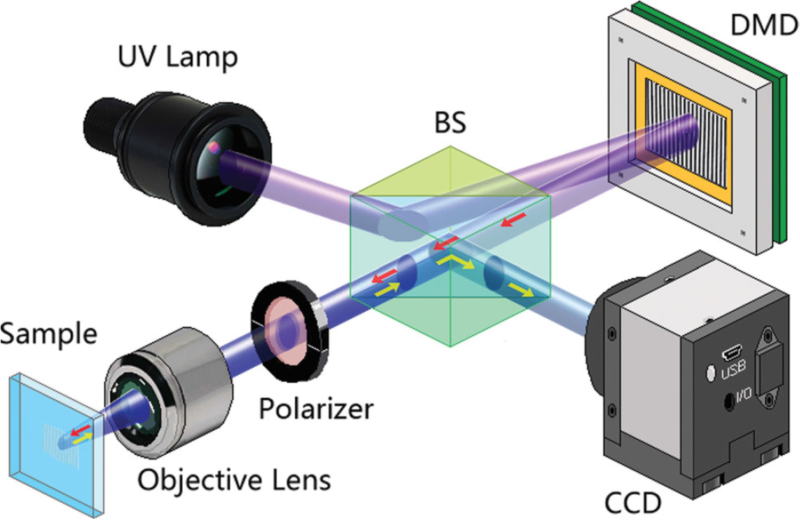 世界杯投注平台