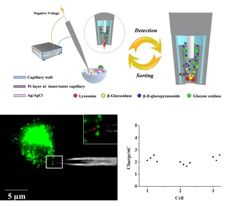 世界杯投注平台