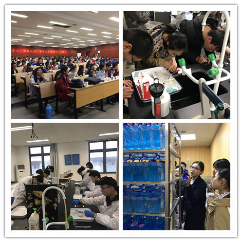 世界杯投注平台