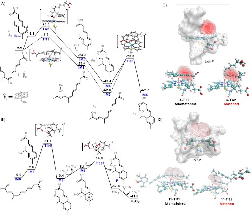 戈4 世界杯投注平台