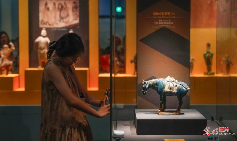 世界杯投注平台