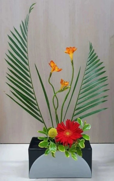 世界杯投注平台