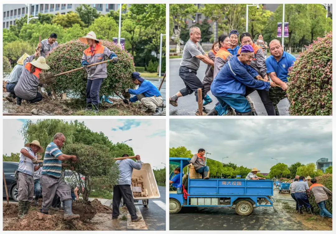 世界杯投注平台