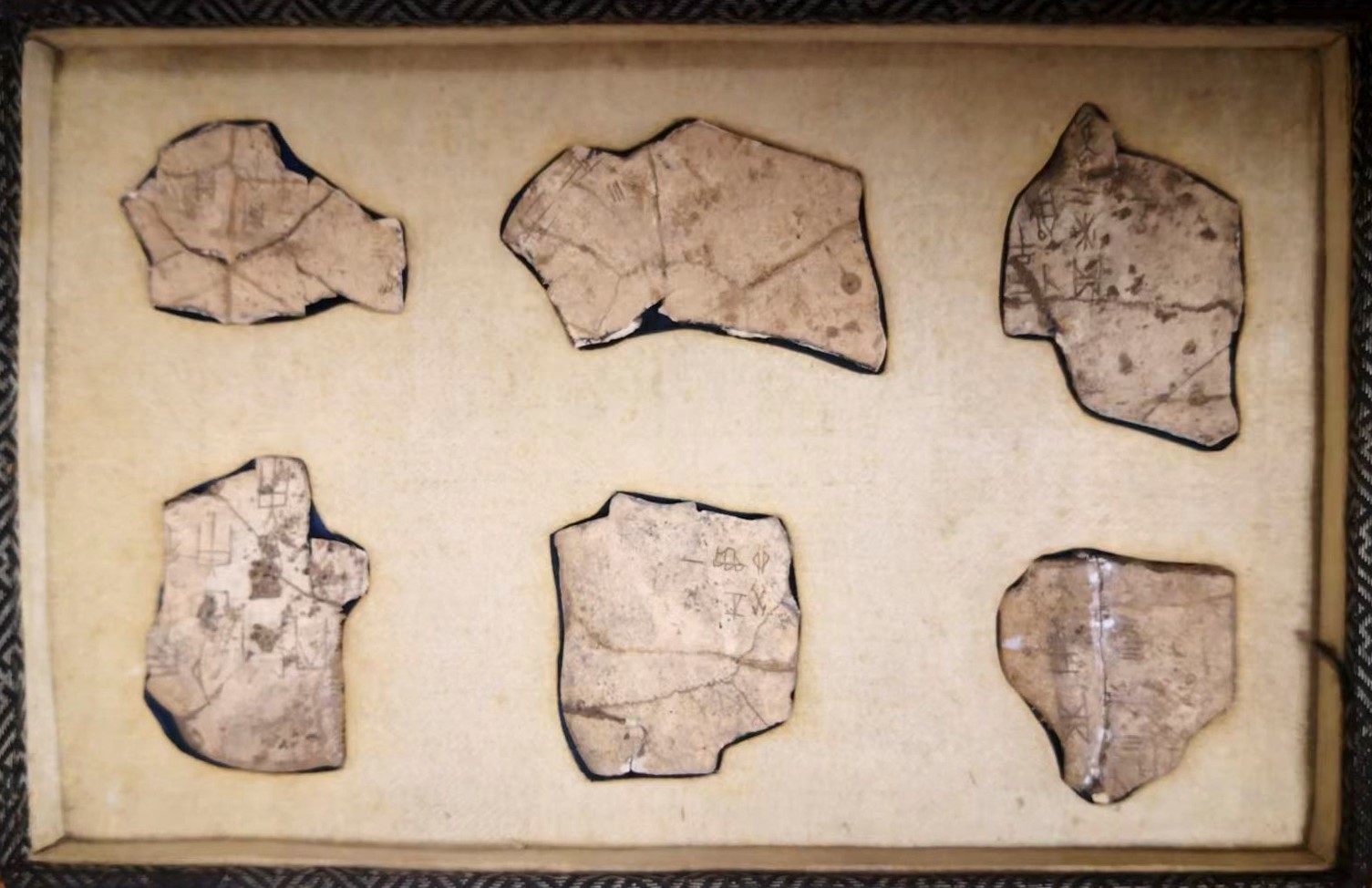 世界杯投注平台