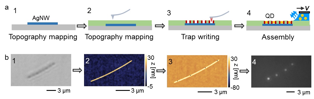 世界杯投注平台