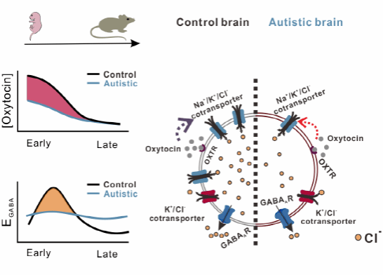 世界杯投注平台