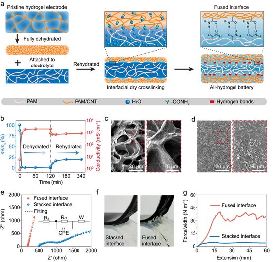 世界杯投注平台
