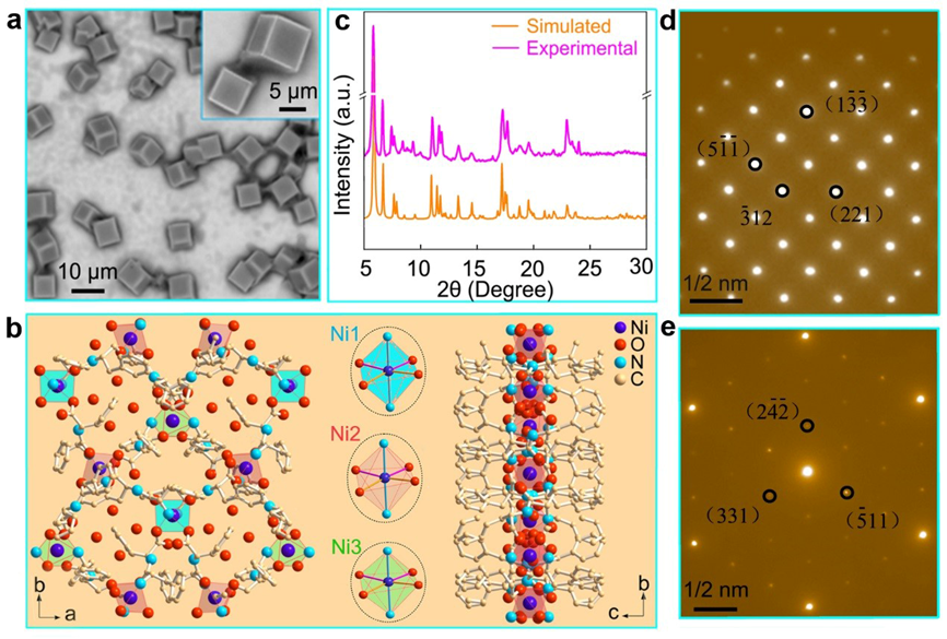 世界杯投注平台