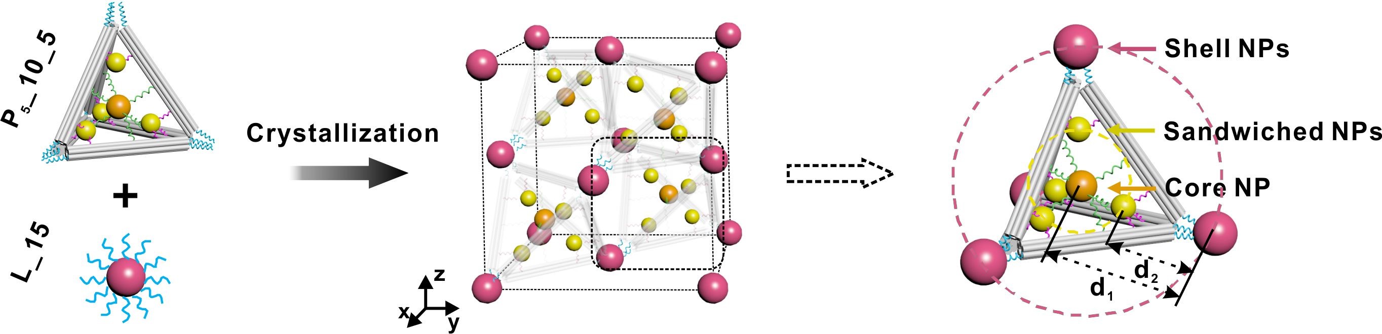 世界杯投注平台