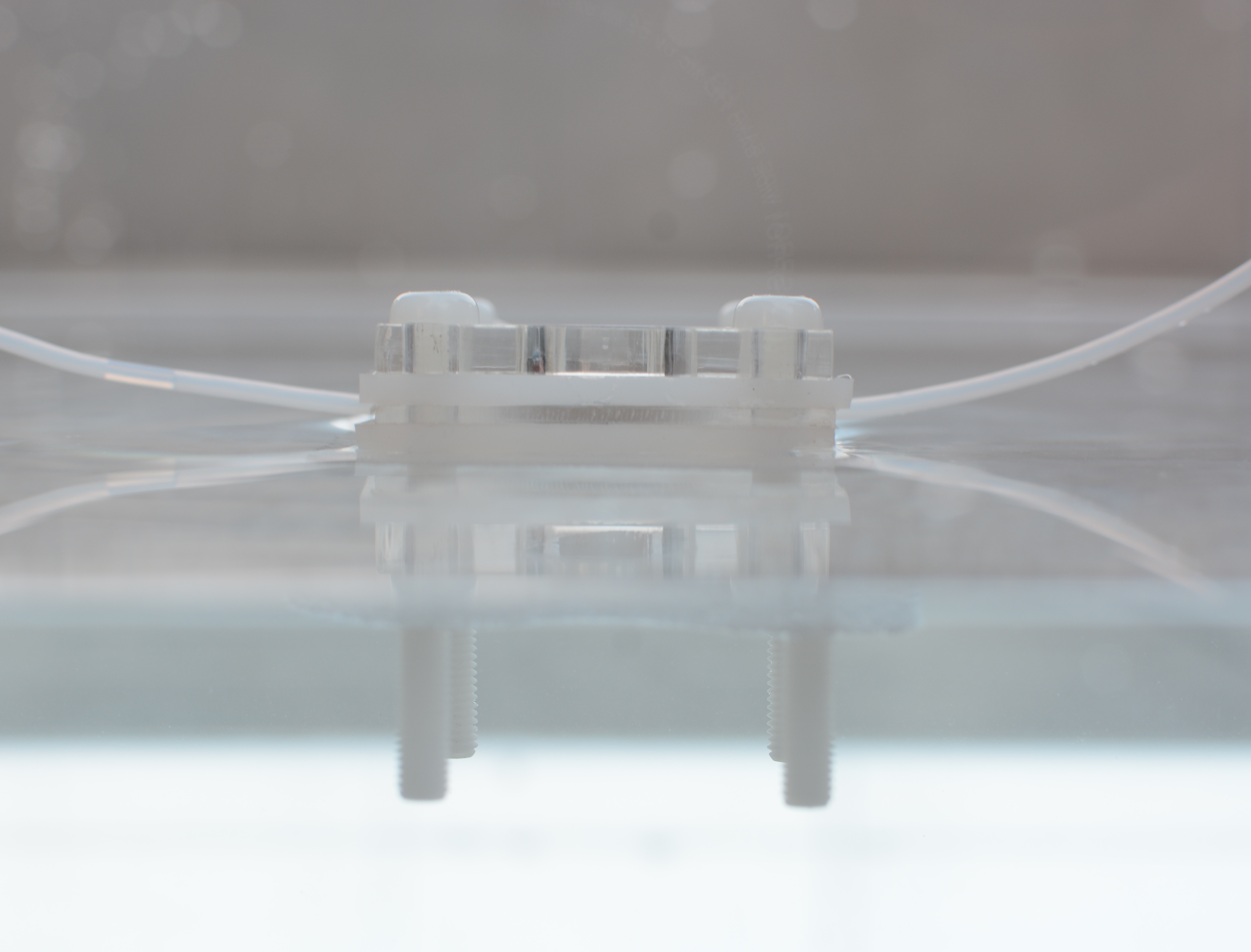 世界杯投注平台