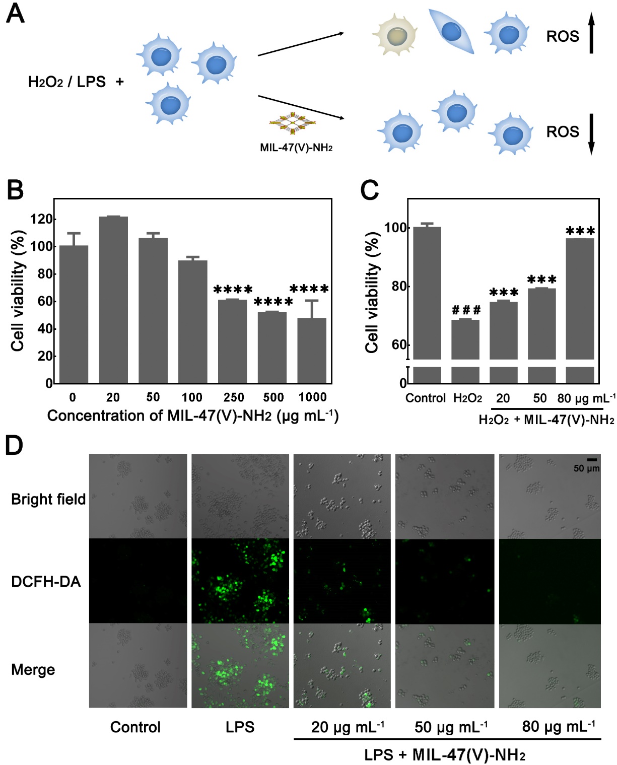 世界杯投注平台