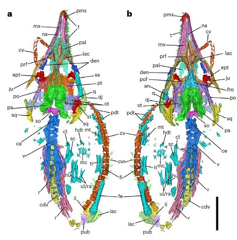 世界杯投注平台