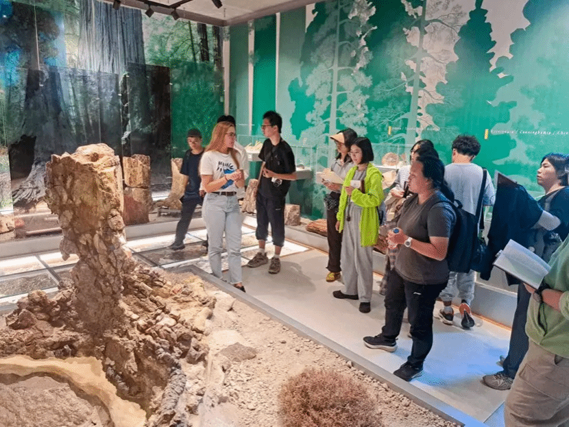 世界杯投注平台