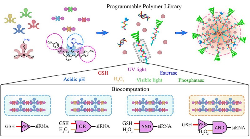 世界杯投注平台