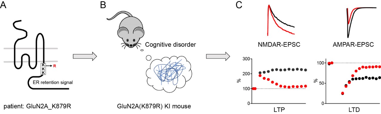 石云2 世界杯投注平台