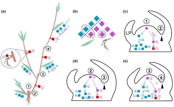 世界杯投注平台