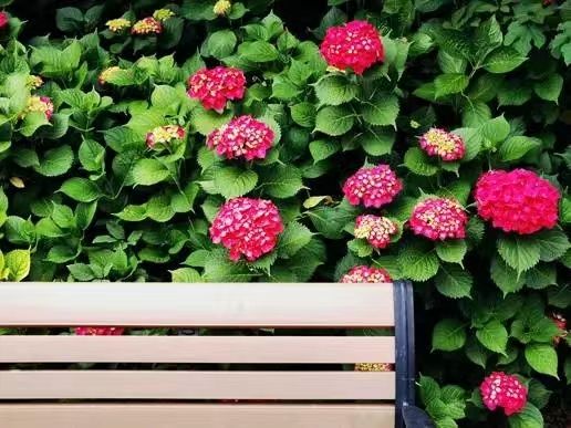 世界杯投注平台