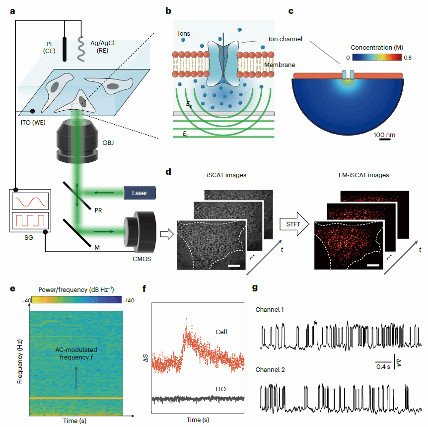 世界杯投注平台