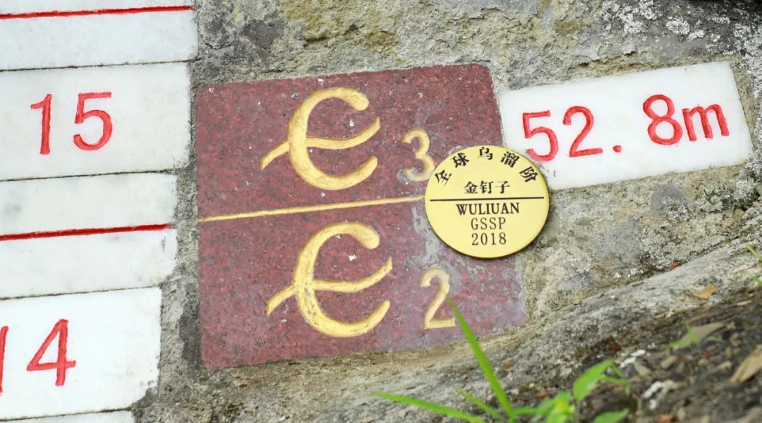 世界杯投注平台