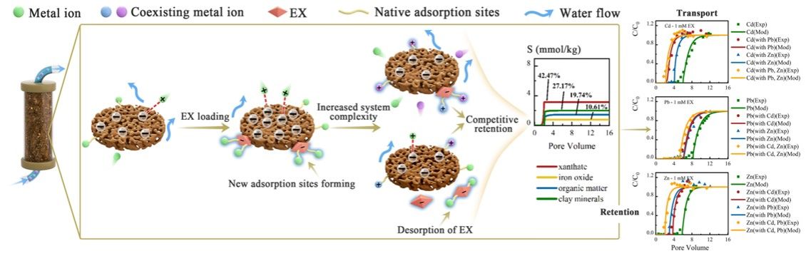 世界杯投注平台