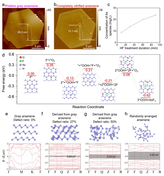 4 世界杯投注平台