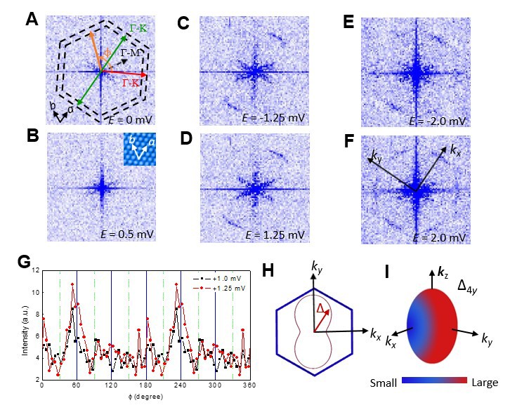 世界杯投注平台