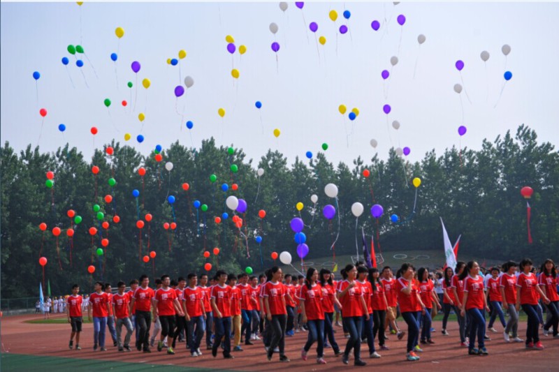 世界杯投注平台