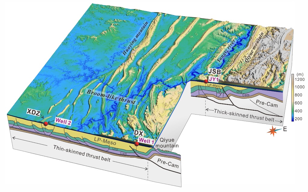 世界杯投注平台