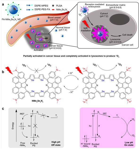 世界杯投注平台