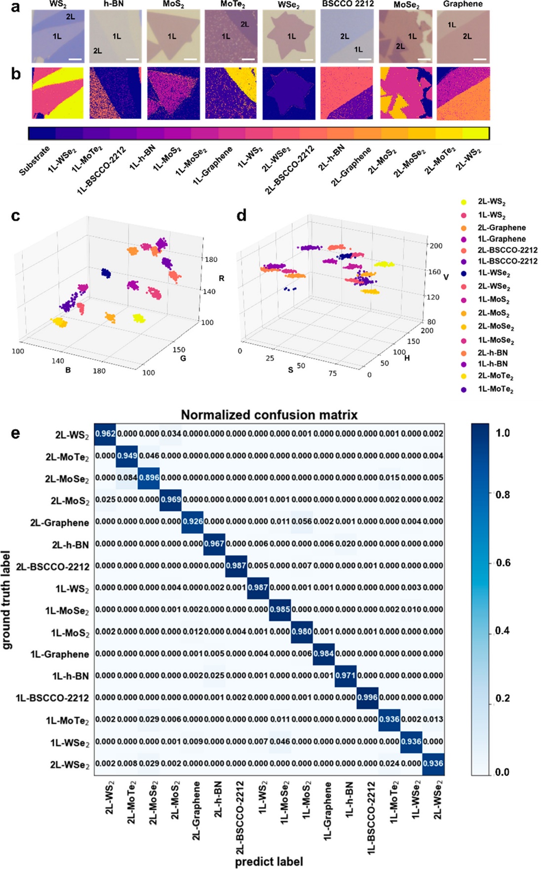 世界杯投注平台