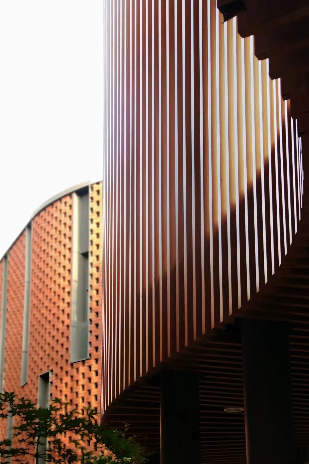 世界杯投注平台