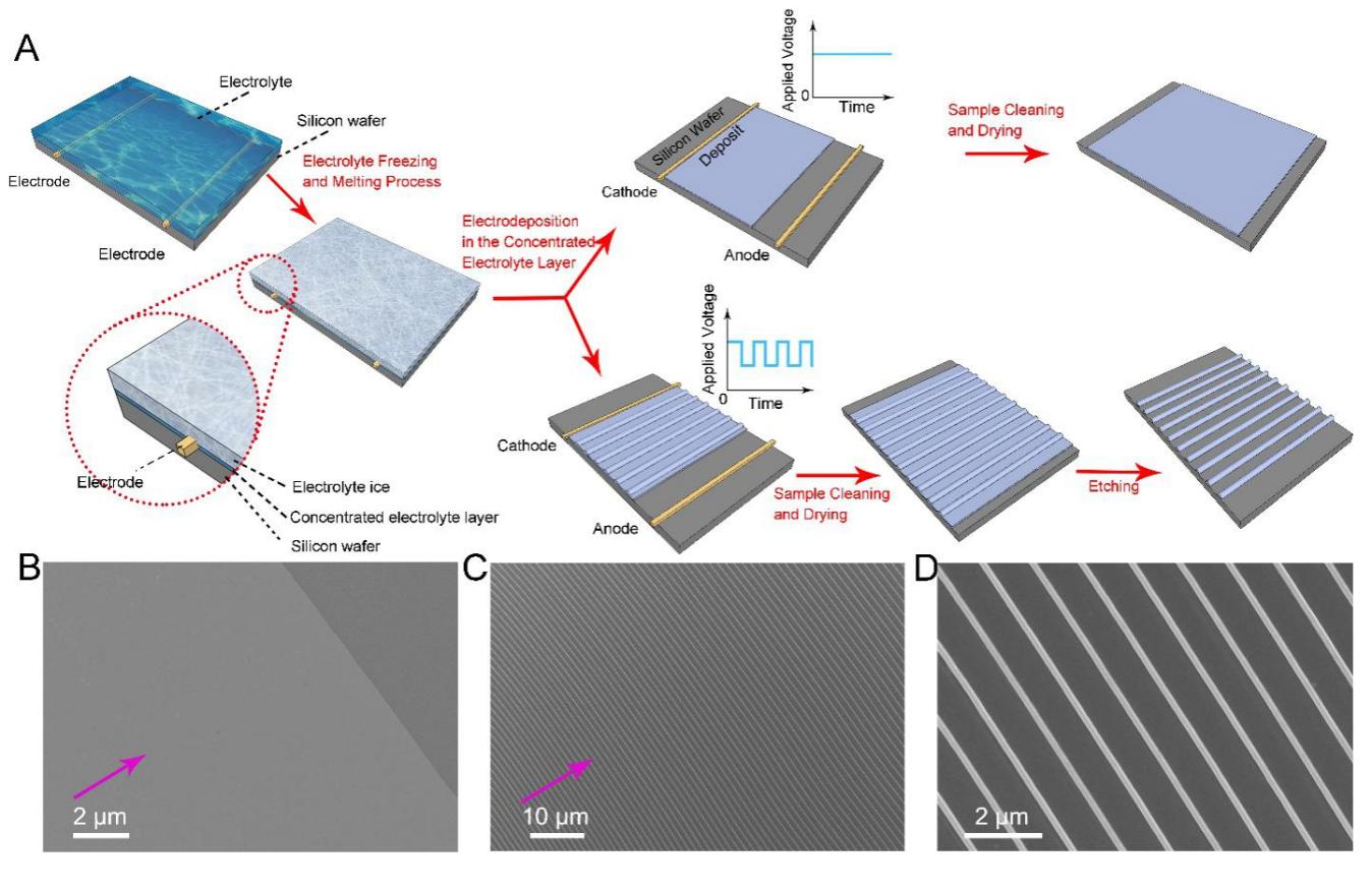 世界杯投注平台
