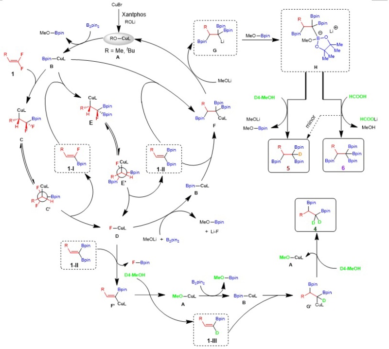 世界杯投注平台