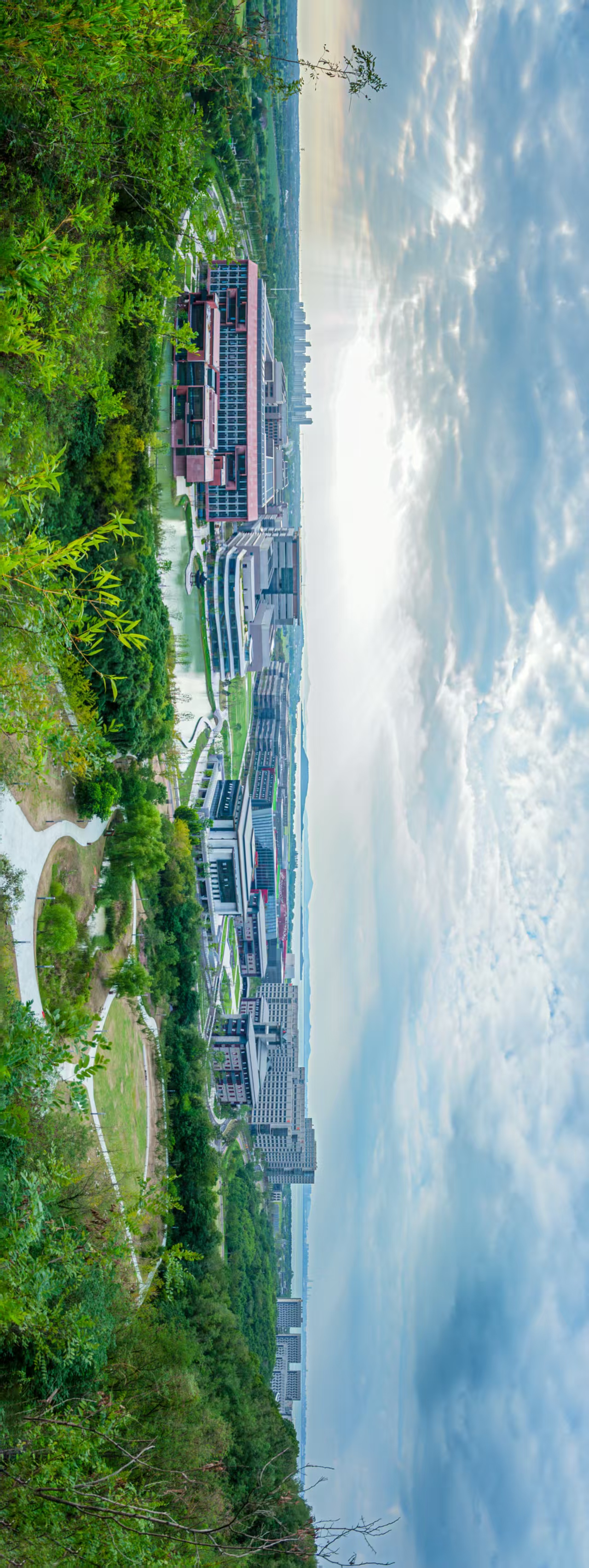 世界杯投注平台