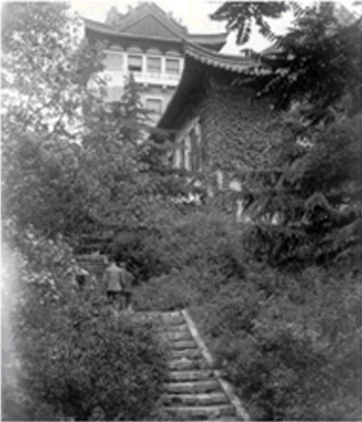 世界杯投注平台