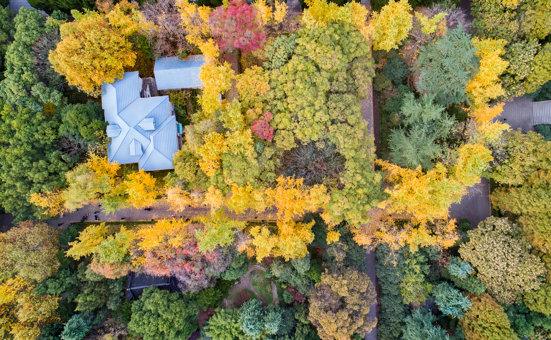 世界杯投注平台